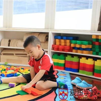 北京爱迪国际学校幼儿园课程
